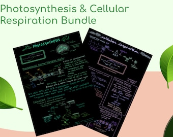 May include: A bundle of two blackboards with handwritten notes on photosynthesis and cellular respiration. The boards are on a pink and green background with green leaves.