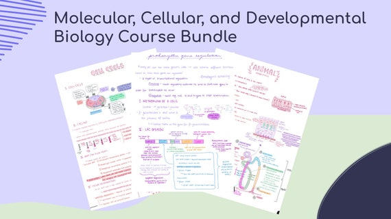 Molecular/Cellular Biology Study Notes/Note Set —  Biology, Pre-Med, Med School, Nursing School