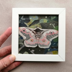 Arte de polilla en miniatura, pintura al óleo original, único en su tipo, regalo único In white frame