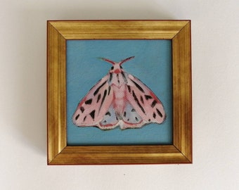 Pink moth painting, Original 4x4 miniature oil painting on canvas, butterfly painting, moth art,fairy art, insect art Tiny Painting
