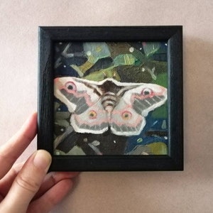 Arte de polilla en miniatura, pintura al óleo original, único en su tipo, regalo único In black frame