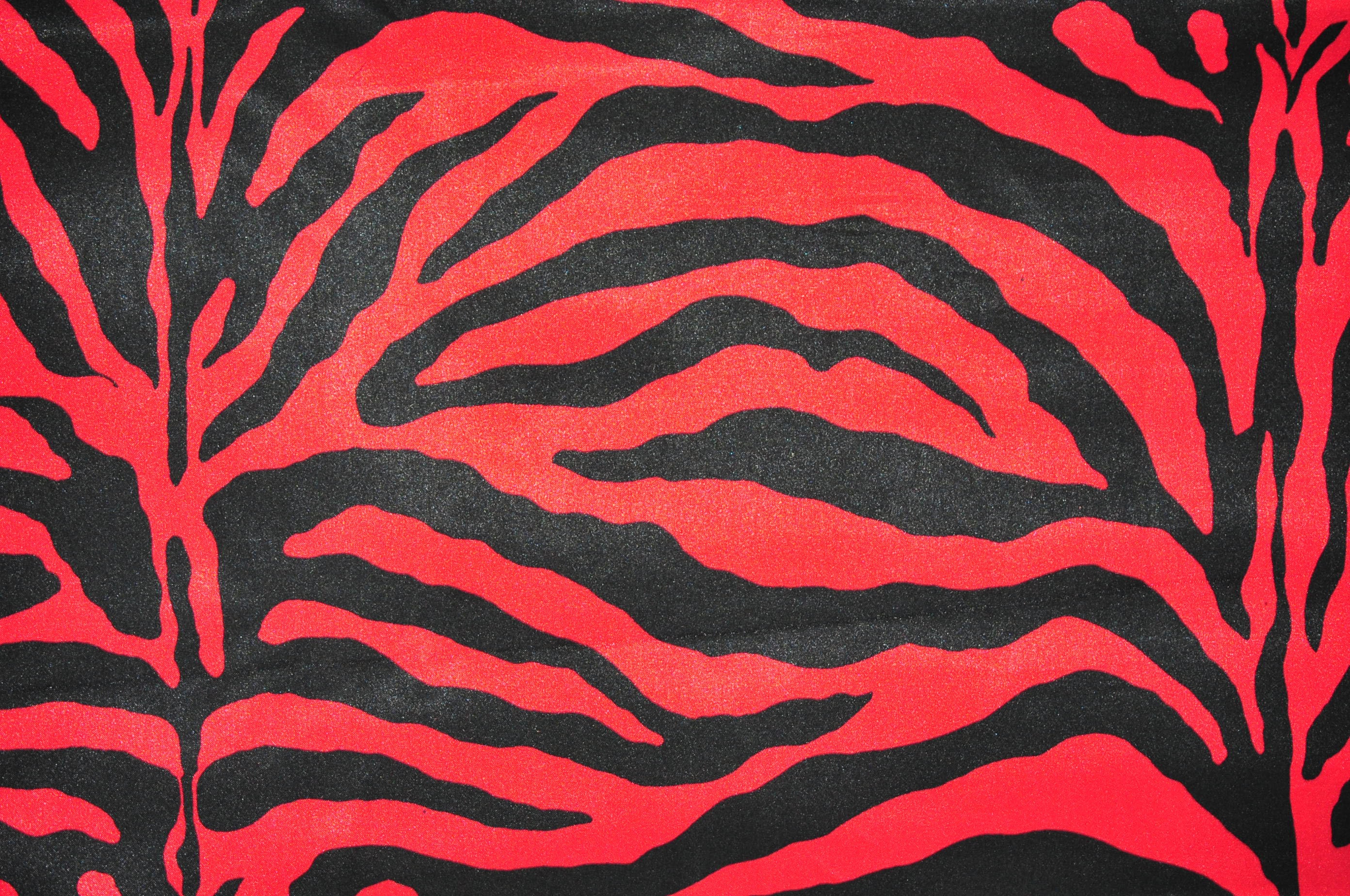 Zebra Satin Print Fabric Charmeuse Satin Zebra by the Yard Etsy