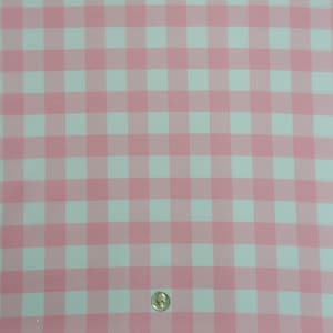 May include: Pink and white gingham fabric with a white coin on top.
