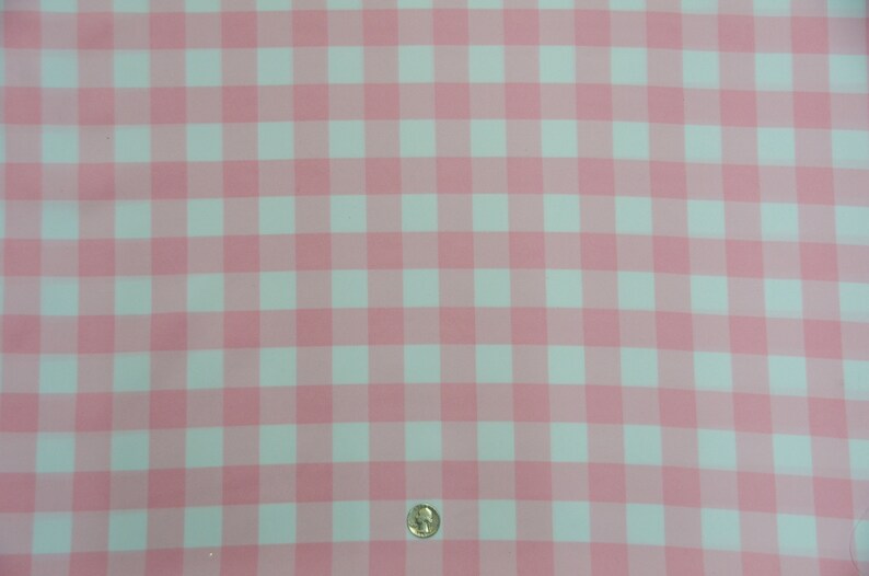 May include: Pink and white gingham fabric with a white coin on top.