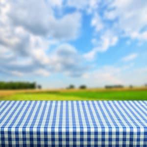 May include: A blue and white checkered tablecloth with a blurred background of a green field and a blue sky with white clouds.