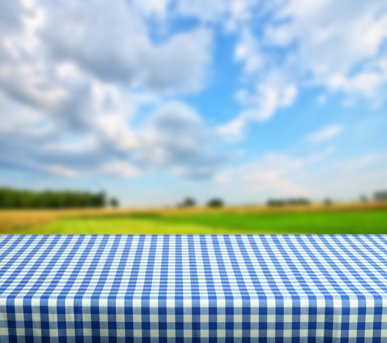 May include: A blue and white checkered tablecloth with a blurred background of a green field and a blue sky with white clouds.