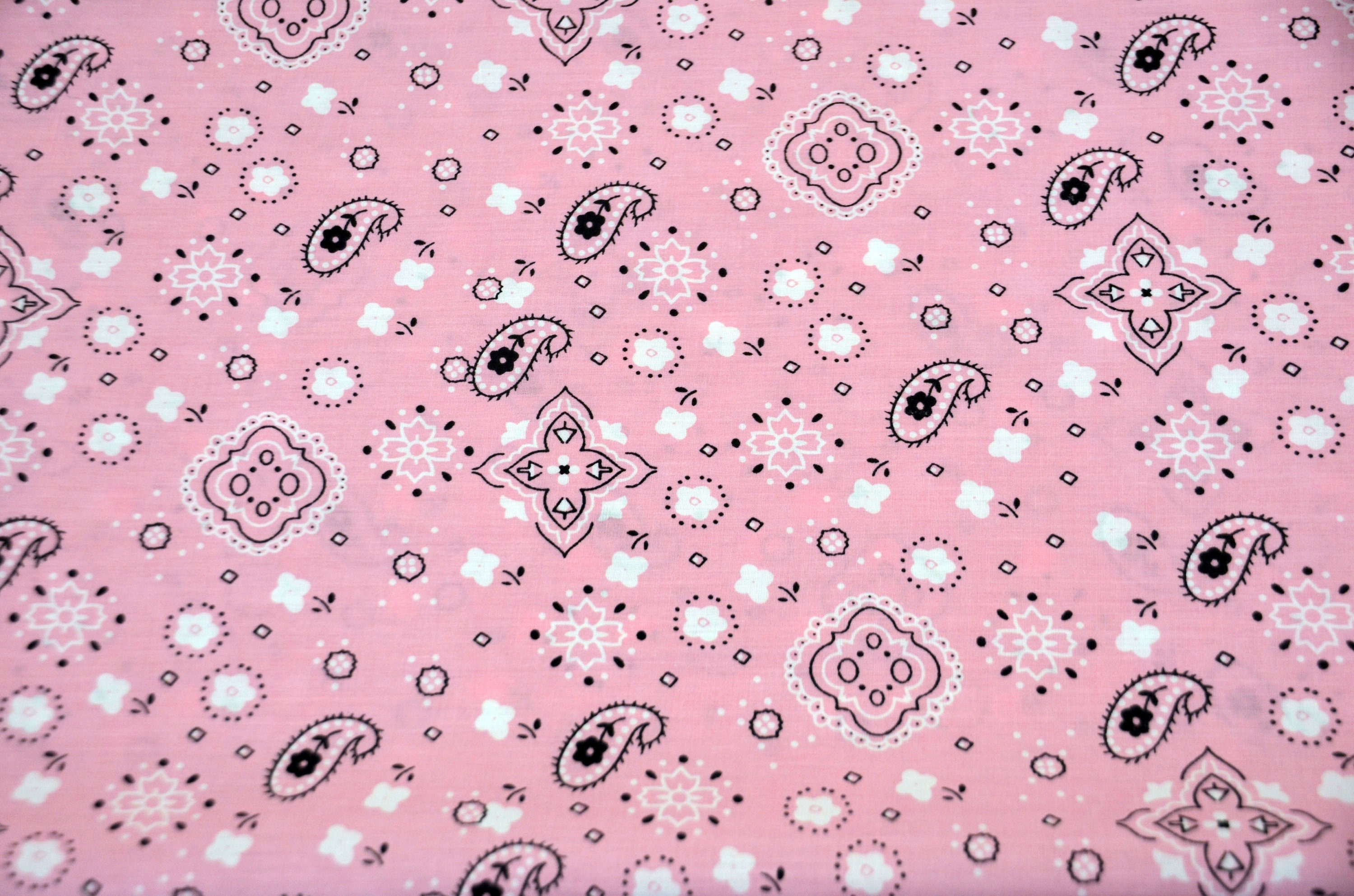 Pink Bandana ubicaciondepersonas.cdmx.gob.mx