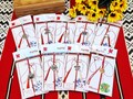 Martisor, martisoare, Romanian martisor lucky charm bracelet, astrology jewelry, red lucky charm bracelet, friendship evil eye bracelet product logo