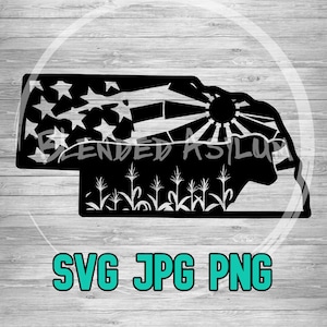 May include: Black and white silhouette of the state of Nebraska with a sunburst design, stars, and corn stalks. The text "BLENDED ASYLUM" is visible in the image.