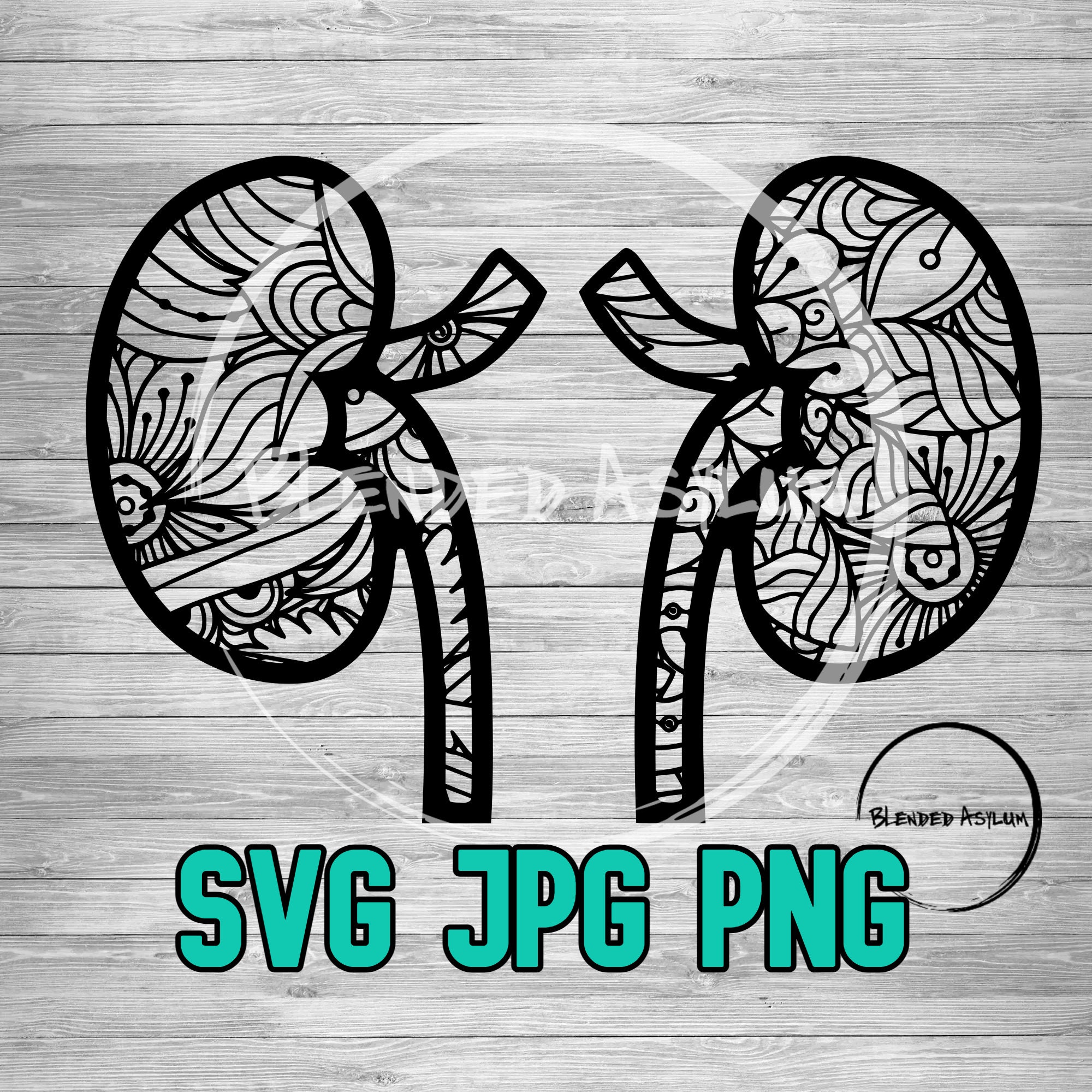Mandala Kidneys SVG JPG PNG Flower Kidney Coloring Page Etsy Canada