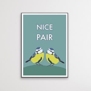 May include: A teal blue poster featuring two bluebirds with yellow bellies. The birds are facing each other and the text "NICE PAIR" is printed in white above them.