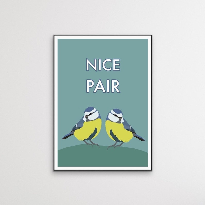 May include: A teal blue poster with two bluebirds with yellow bellies. The birds are facing each other and the text "NICE PAIR" is printed in white above them.