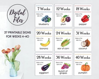 Digital Weekly Pregnancy Sign, Bump Milestone Cards with watercolor illustration, Baby Month Signs Printable Pregnancy Week By Week,JPG File