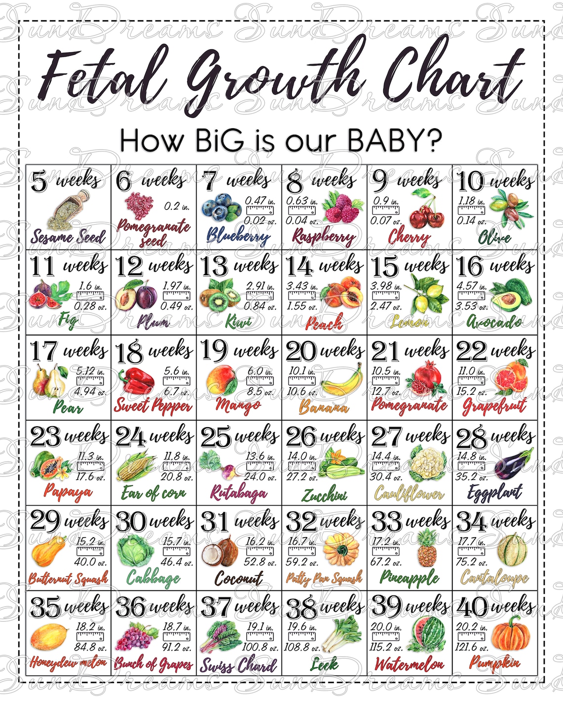 Printable Fetal Growth Chart With Watercolor Illustrations,weekly ...