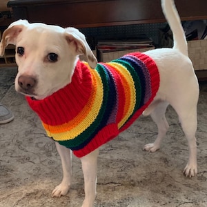 Lgbt Dog Sweater Etsy New Zealand
