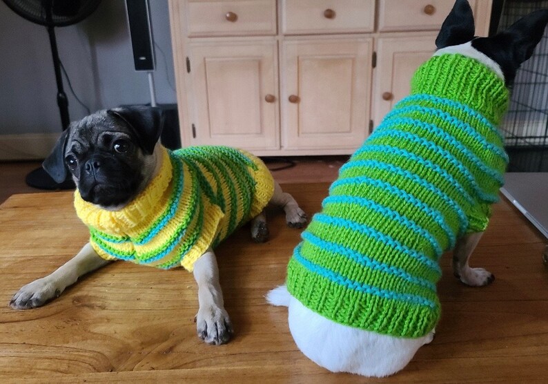 Striped Dog Sweater Extra Small Yellow Green Teal Blue Etsy