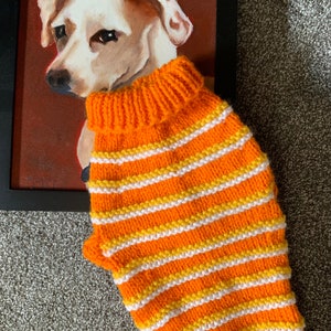 Puede incluir: Un suéter para perros tejido a rayas naranjas, amarillas y blancas. El suéter tiene un cuello alto. Se muestra frente a una pintura enmarcada de un perro.