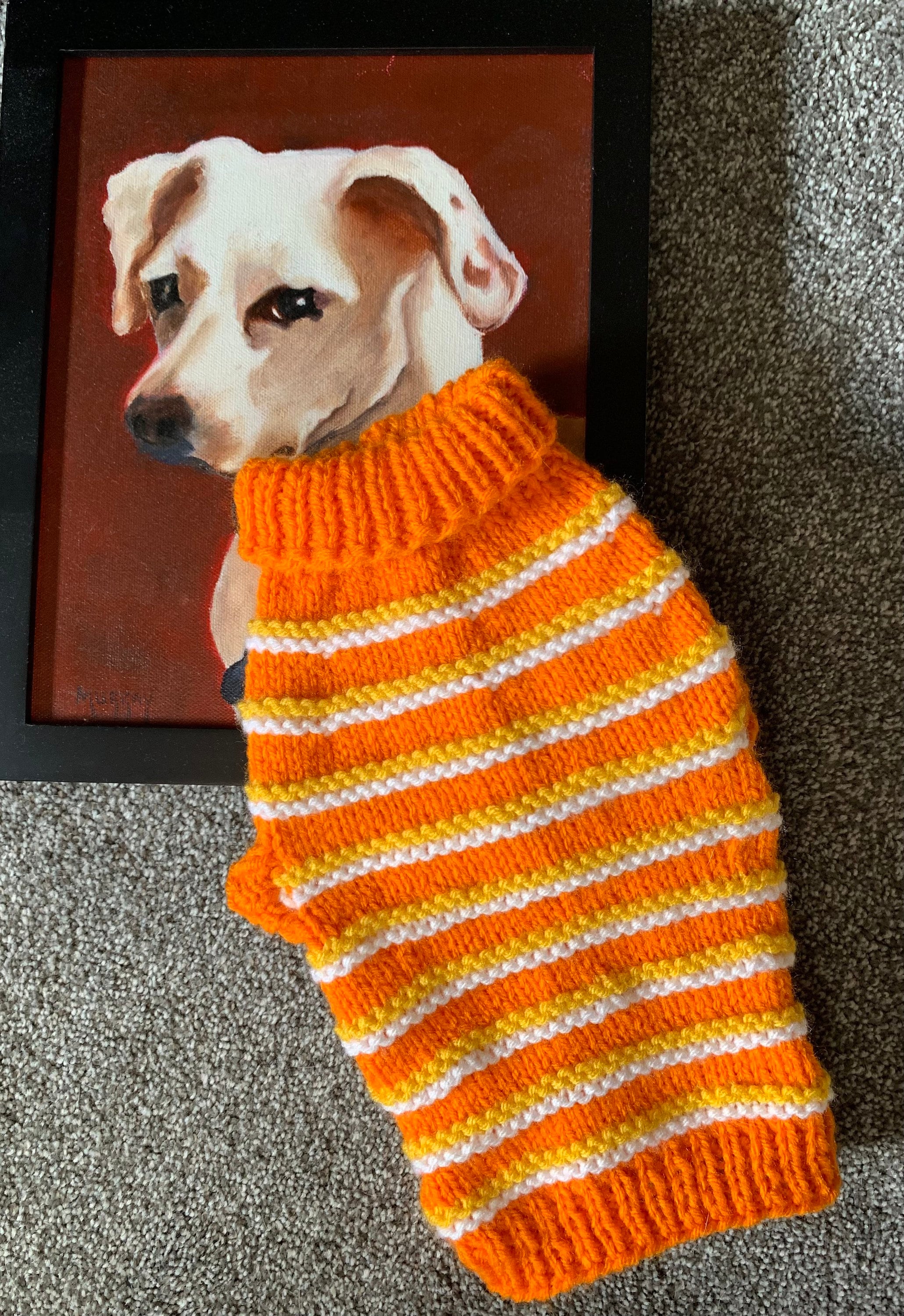 CC Orange Knitted Designer Dog Sweater