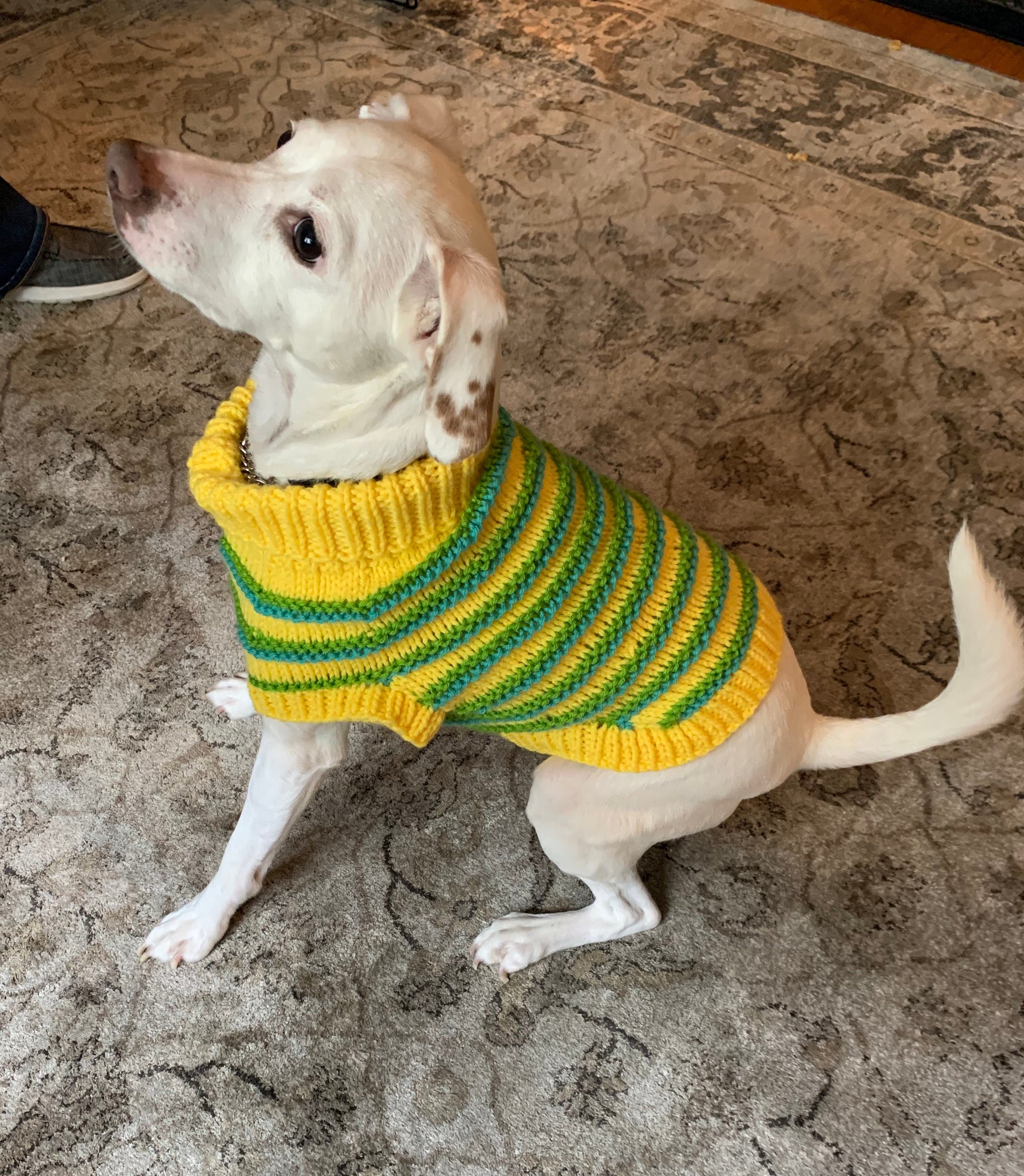 Striped Dog Sweater - Etsy