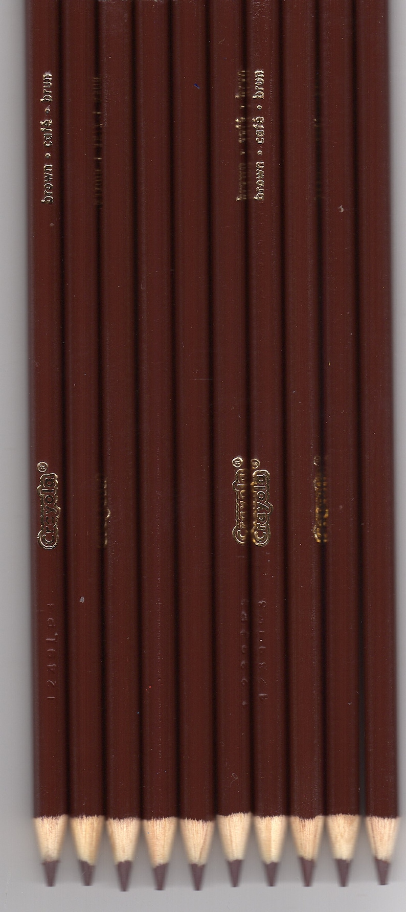 New Crayola Colored Pencils 12 Count BROWN FREE SHIPPING Etsy