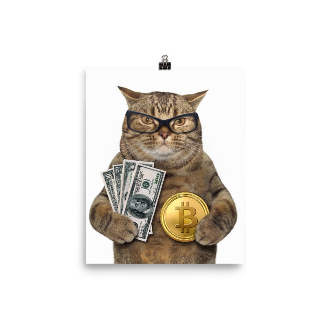 Bitcoin Cat Poster BTC Poster Crypto Poster Bitcoin and | Etsy