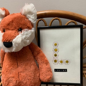 Customizable framed herbarium