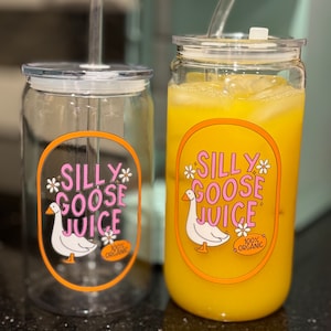 Juego de vasos para jugo Silly Goose: vidrio y acrílico con tapa y pajita