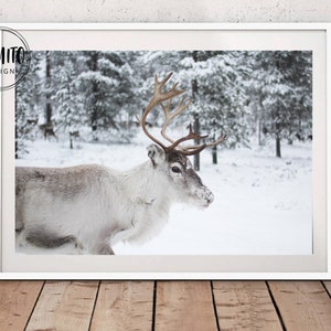Winter Reindeer Print, Winter Instant Download, Christmas Scene Deer Wall Art, Winter Christmas Wall Decor, Scandinavian christmas print