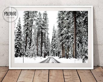 Pode incluir: Uma fotografia a preto e branco de uma estrada nevada que serpenteia por uma floresta de pinheiros altos. As árvores estão cobertas de neve e a estrada está vazia.