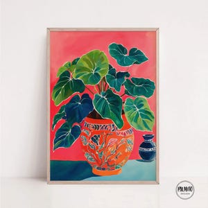 May include: A vibrant green plant with large leaves in a colorful orange and blue patterned pot against a bright pink background. A smaller blue pot is also visible in the image.