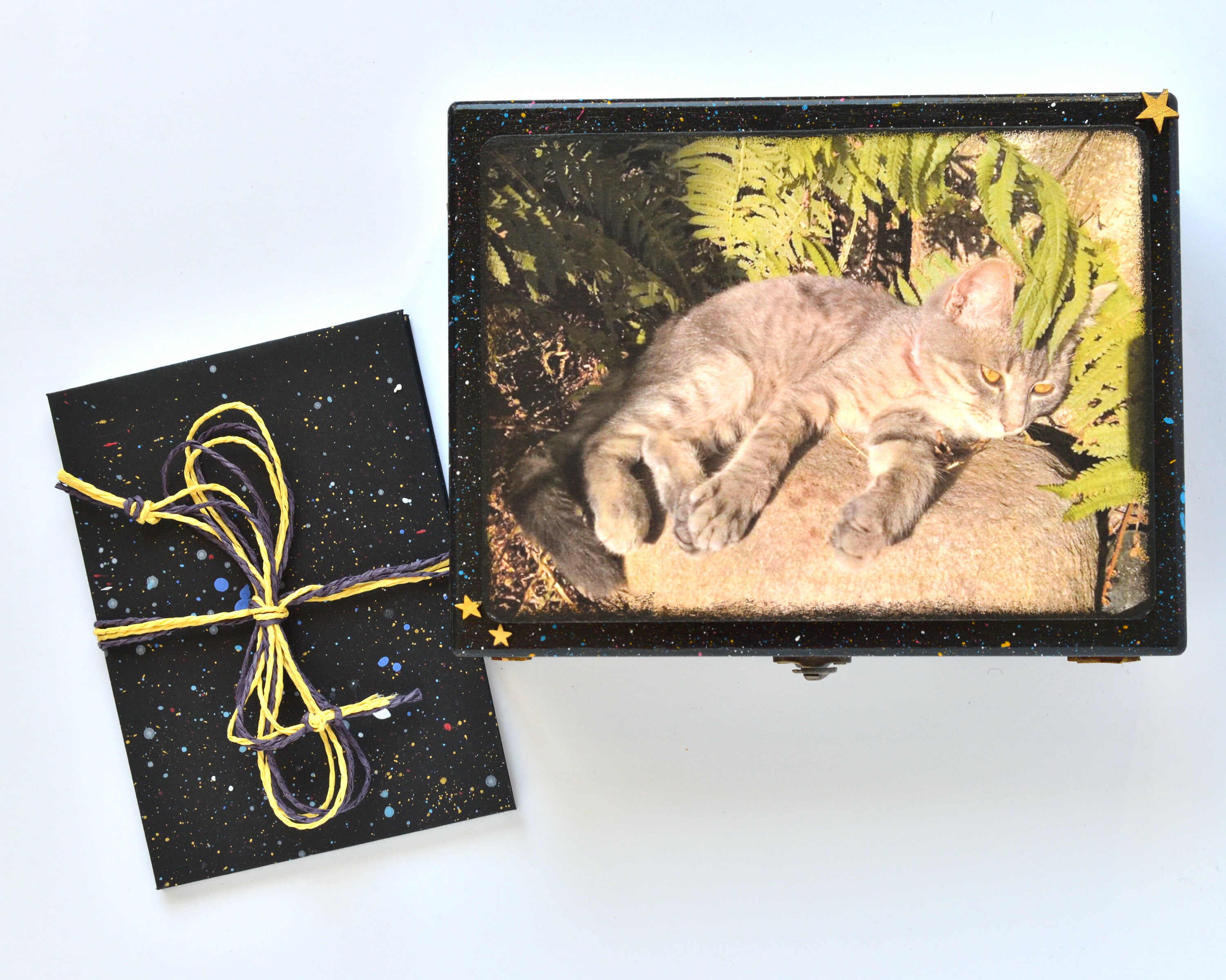 Set custom cat memorial box matching photo album Rainbow Etsy