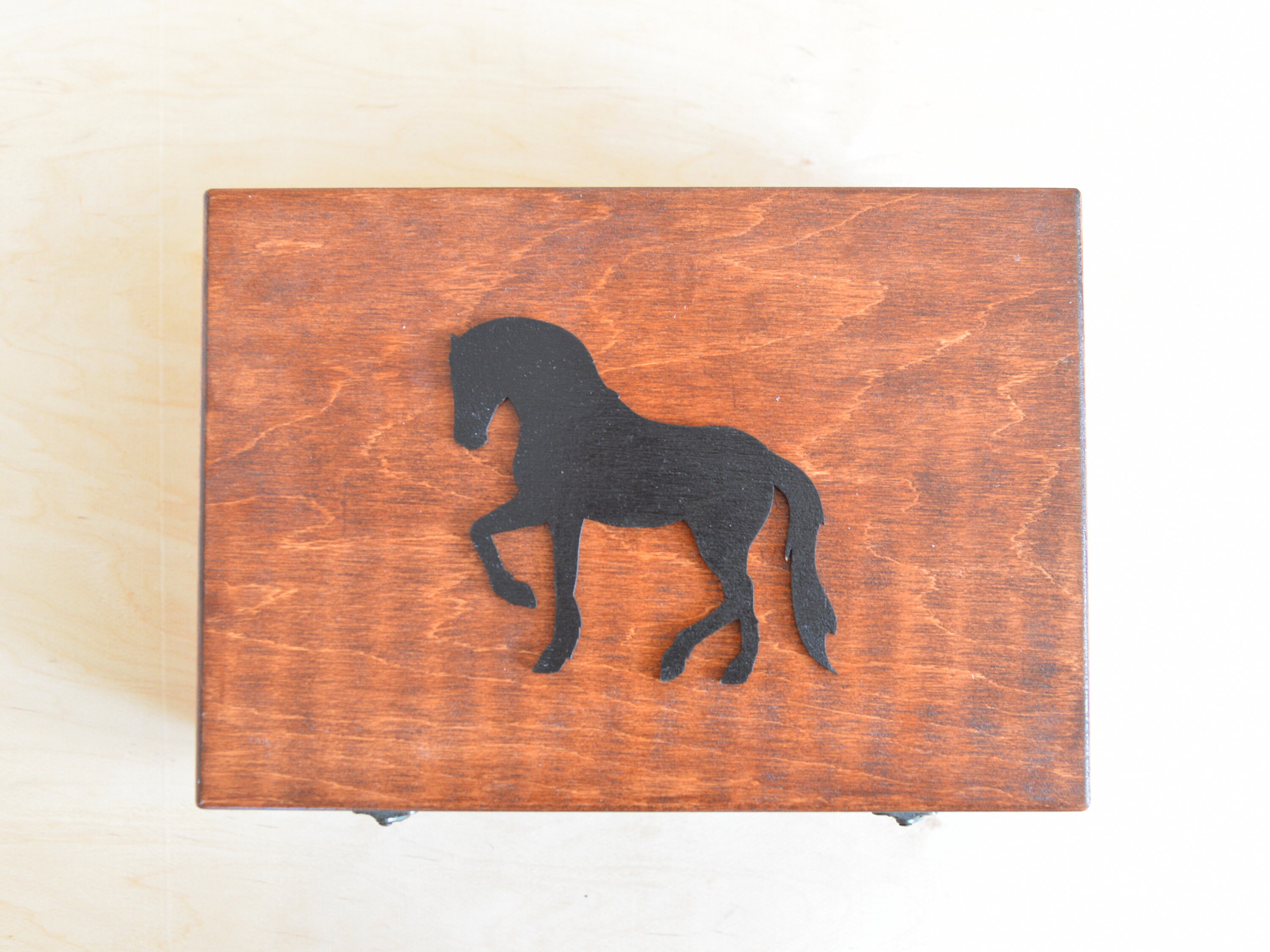 Horse owner gift Horse memorial gift Pet loss Horse hair Etsy
