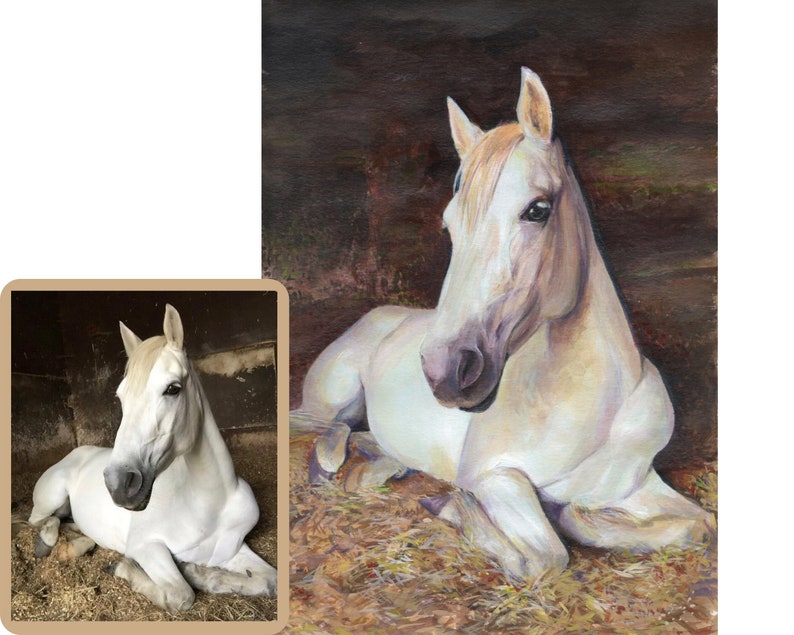 Custom horse painting from photo Pet loss portrait Custom pet portrait drawing