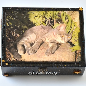 Regalo di simpatia per animali domestici personalizzato, urna per gatti per ceneri