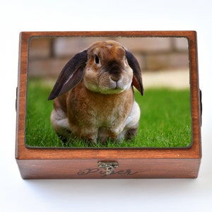Personalized pet rabbit bunny urn, Pet sympathy gift,  Pet memorial gift