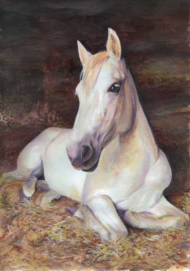 Custom horse painting from photo Pet loss portrait Custom pet portrait drawing