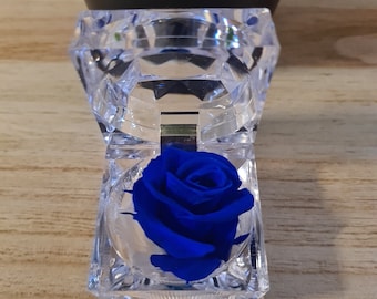 Boite rose eternelle bleue