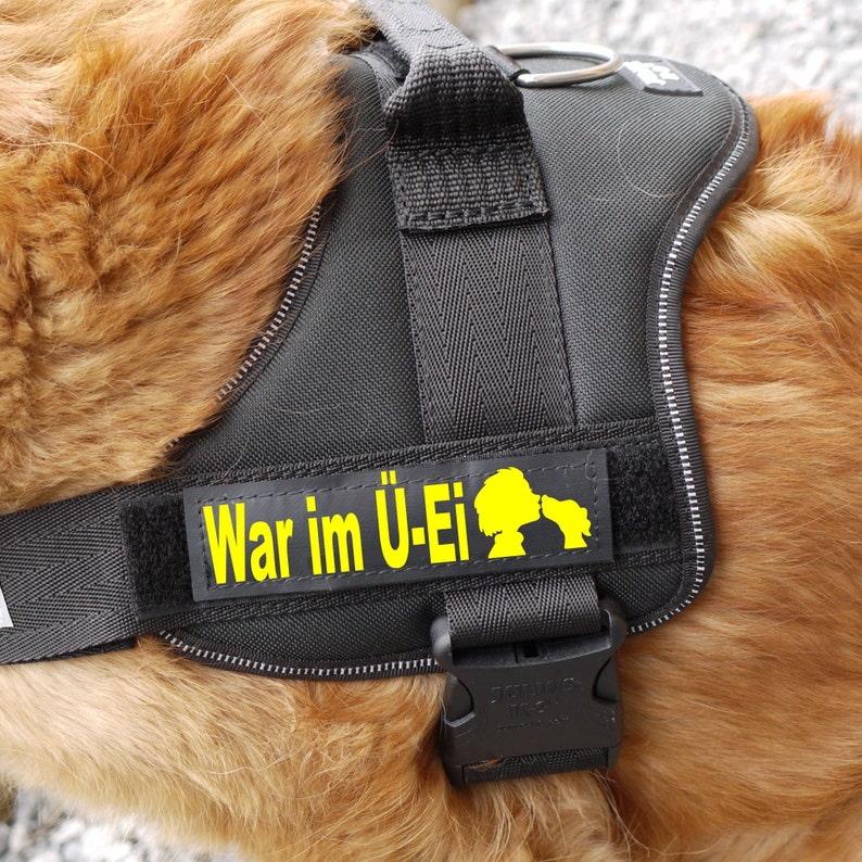 K9 Klettlogo Klettsticker Patch WUNSCHTEXT MOTIV Trixie Doxlock Hundegeschirr Namens Aufnäher personalisiert mit Klett Bild 6