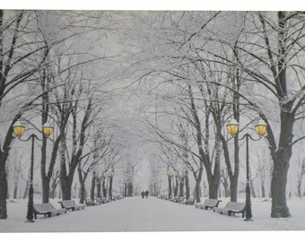 Light up canvas oil painting with LED lights, white winter in the park