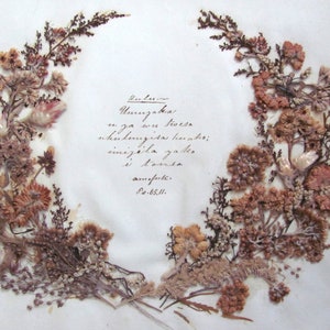 Antique Herbarium Gift from Natal South Africa Pressed Native Flowers & Grasses Psalm 65. 11 Kings James Version Ready To Frame Herbarium