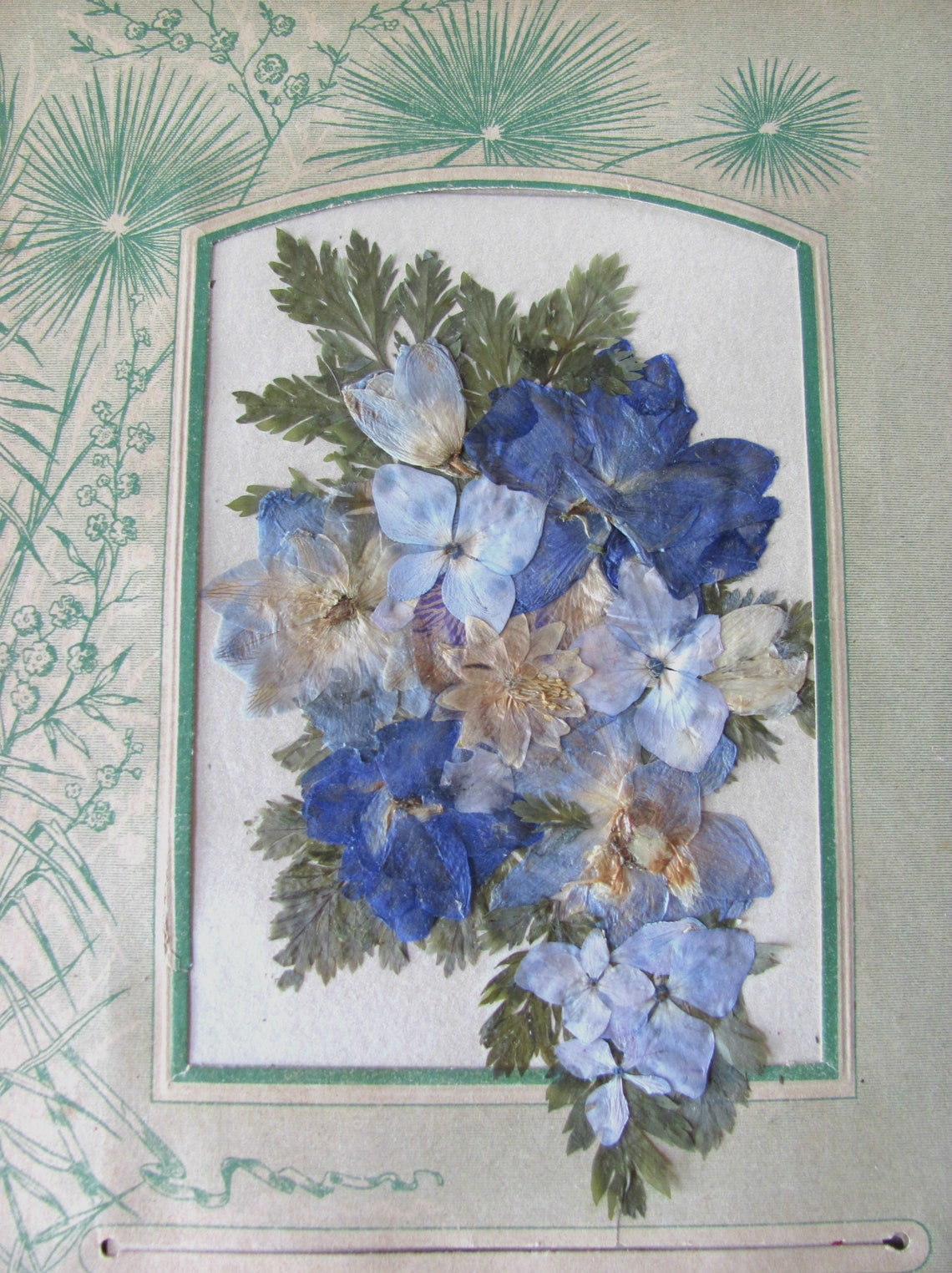 Lovely Pressed Flower Arrangement on Antique Album Page Wall Etsy