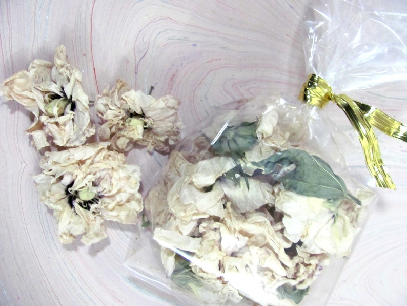 Dried Rose of Sharon Flowers for Potpourri or Floral Craft Projects