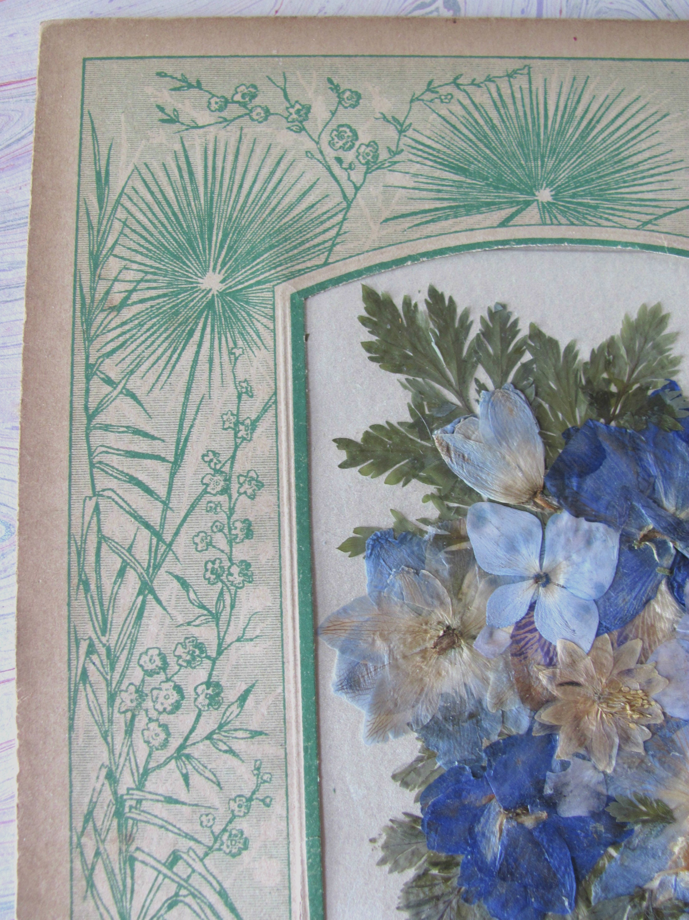 Lovely Pressed Flower Arrangement on Antique Album Page Wall Etsy