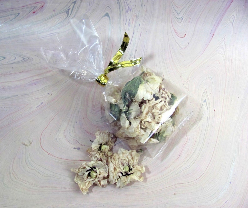 Dried Rose of Sharon Flowers for Potpourri or Floral Craft Projects