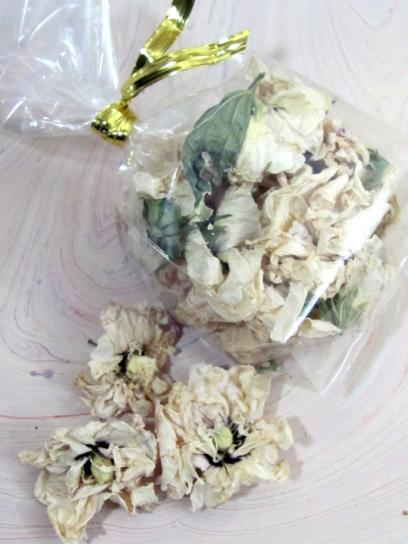 Dried Rose of Sharon Flowers for Potpourri or Floral Craft Projects