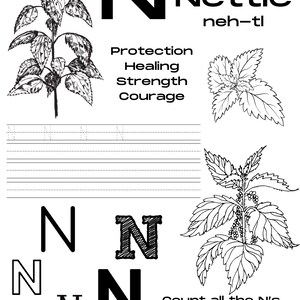 WITCHY ALPHABET PRINTABLE | Toddler Worksheets | Preschool Tracing ...