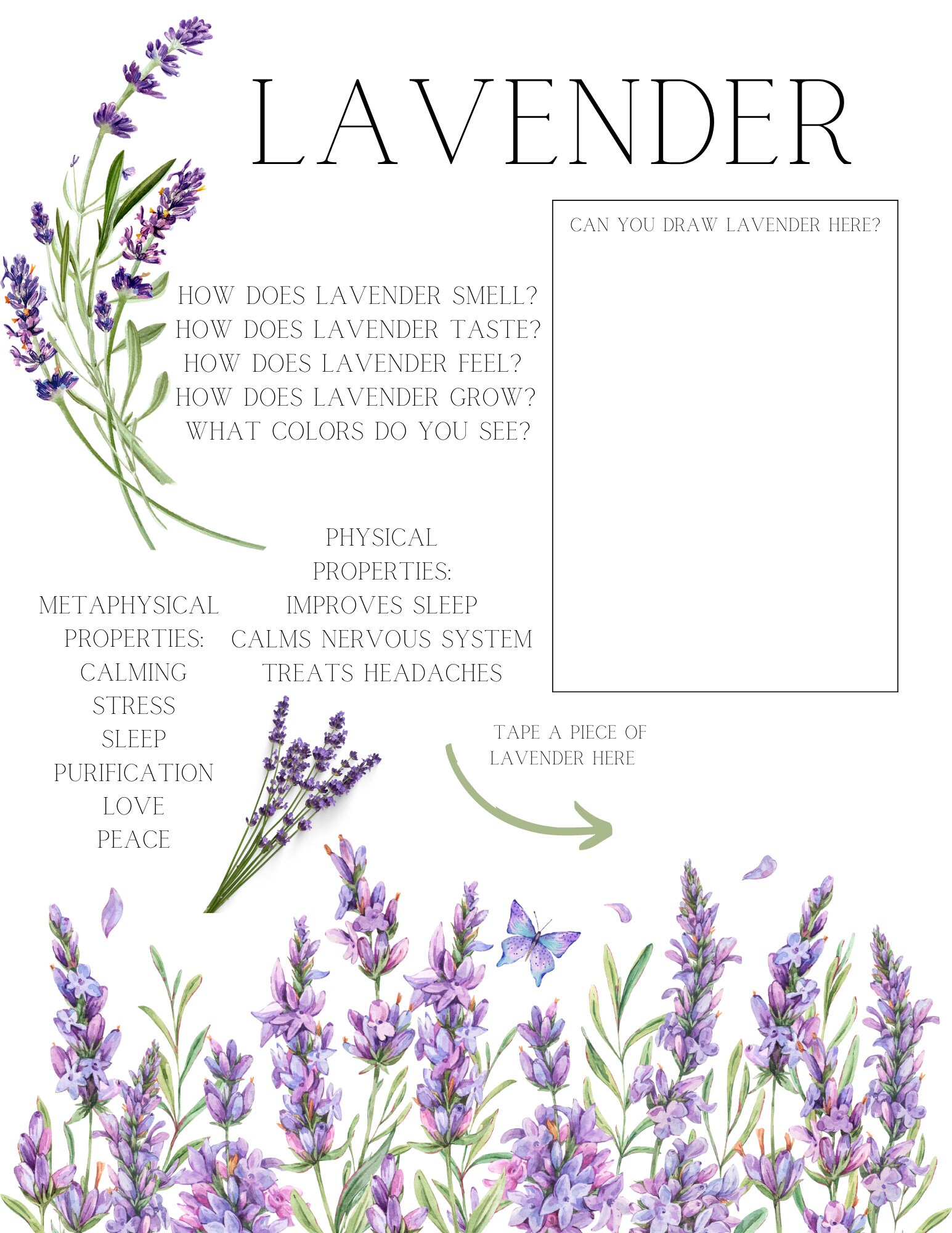 MY FIRST HERBS | Preschool Herbal Work Sheets | Toddler Workbooks ...