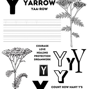 WITCHY ALPHABET PRINTABLE | Toddler Worksheets | Preschool Tracing ...