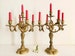 Antique Pair French Gilt Bronze Candelabras - 19th C. Pair Bronze Ormolu Candlesticks Holders - 5 Arm Gilt Bronze Rococo Style Candelabrums 