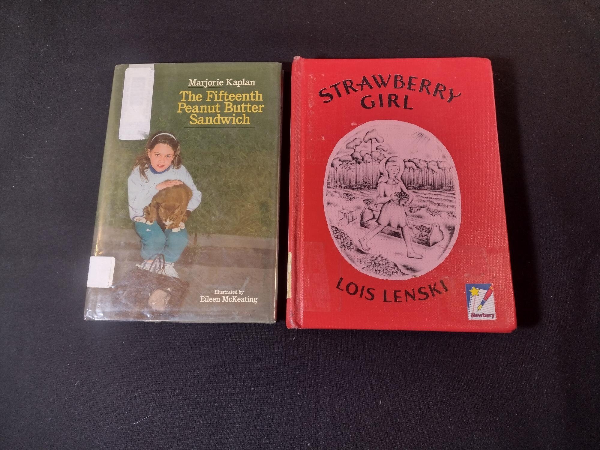 Set of Two Young Adult Vintage Books for Girls: "The Fifteenth Peanut Butter Sandwich" and "Strawberry Girl"